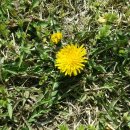 대룡목장 이미지