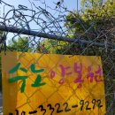 수노양봉원 이미지