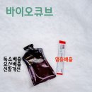 닥터키드니