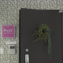 아담에스테틱 - 통영시 | 아담에스테틱