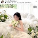 로제뜨 | 구성맛집 가성비 플라워디렉팅 로제뜨플라워 계약후기(+할인받을 짝궁 구해요)