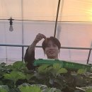 진이농장 이미지