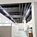 정직한 공인중개사 이미지