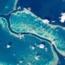 그레이트 이미지