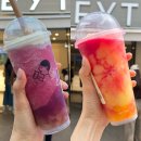 슈가팝핑 | 중국 밀크티 1위 브랜드 서울 홍대 헤이티 메뉴 추천 (차백도 비교 후기)