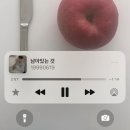 동진타이어 | 한여름 복숭아