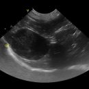 천호동물병원 이미지