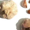 단군한의원 이미지