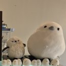 베이커리어미새