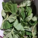 동례농장 이미지