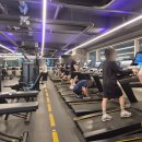 💪대전 봉명동 헬스장, 봉명동 pt 랩스휘트니스 유성온천점 후기