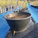 주동농장 이미지