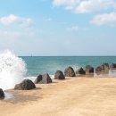 제주 서쪽 이미지