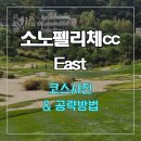 소노펠리체CC 비발디파크 이스트