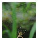 별총총바다풍경 이미지