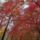 내장산국립공원화장실(우화정옆) | “한국 단풍 최고봉 ‘내장산’ 가을 완전 정복 가이드 – 단풍 명소, 옷차림부터 가족 코스까지”