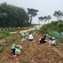 솔샘어린이집 이미지