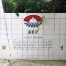해오름껍데기 Daum카페