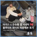 플루언트 | 아식스 운동화 슈슈통 콜라보 젤 키네틱 플루언트 착용해 본 후기