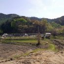 유치1농장 이미지