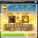 애플헤어 이미지