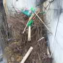 부평대로우체국 이미지