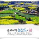 28산우회 4월 섬 트레킹 (청산도 서편제길) 이미지