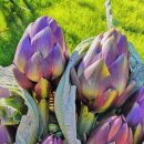 지중해푸드 이미지