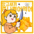 대정망고