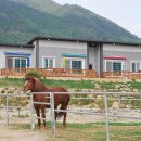 언덕위 작은집 이미지