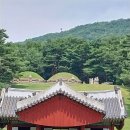 헌인릉 Daum카페