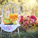 대한인사행정사 이미지