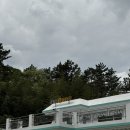 환희네 꿀벌농원 | 포항 연일 신상카페 허니웍스 내돈내산 후기
