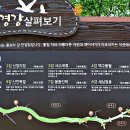 만경1경 이미지