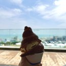 카페루아 이미지