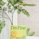 아임파인 | NCB 아임파인효소, 곡물효소 솔직후기 (과식 후 속편해지는 루틴 찾았다)