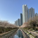 영도아파트 이미지