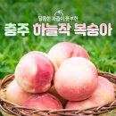 충주시, ‘하늘작 복숭아’본격 출하 이미지