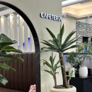 수원-1731 | 수원 한식 맛집: 고등어명품이되다 수원점 주차, 메뉴 도다리회 후기