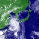 한솥도시락 신월성점 이미지