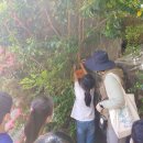 송운초등학교 이미지