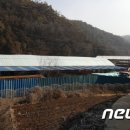 어의곡리 농장 뉴스1