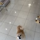 담아놓다 이미지