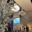 루미에르홀뷔페 이미지