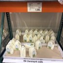 한성할인마트 | 26년 4월 첫째 주 주말 코스트코 추천 | 일산 코스트코 추천템 인기템 및 할인템 후기