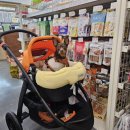 원미구 도약로 239 이미지