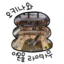 스시이프 | 오키나와 이온몰 라이카무, 어디부터 둘러봐야 후회 없을까? 쇼핑부터·맛집·몽벨·킨·포켓몬까지