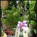 (주)엠비온 이미지