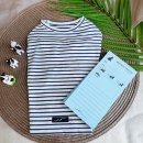 빅토리애견 이미지