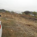 금가면사무소 이미지